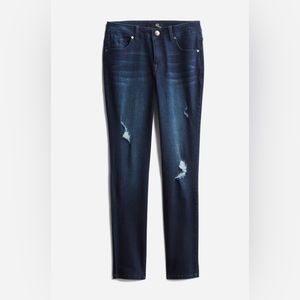 Re:Denmin Randall Distressed Ankle Skinny Jean